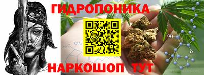 PSILOCYBIN Пугачёв