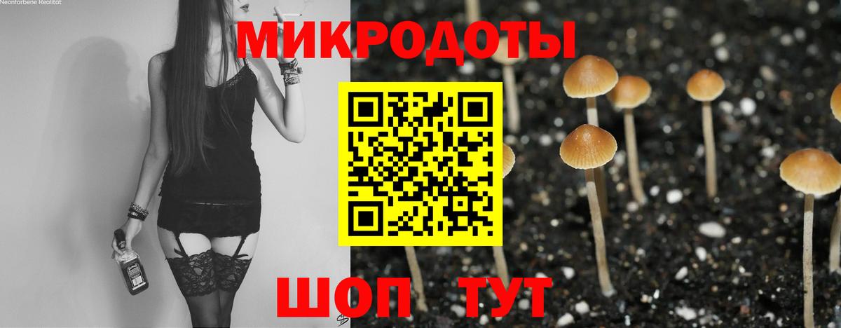 Псков  Псилоцибиновые грибы прущие грибы  Вход с VPN  Псилоцибиновые грибы Magic Shrooms 